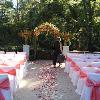 Naturally-Elegant-Designs-by-Holly-Long