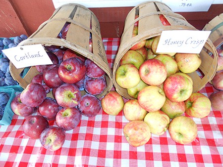 pick your own apples at the orchard