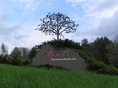 Alyson's Orchard Rustic Weddings