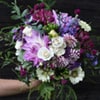 florist_vera_flora