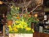 grape_arbor