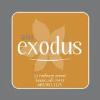 salon_exodus